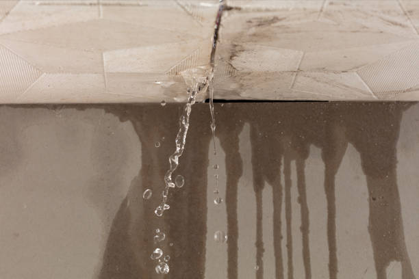 Professional Water Damage Repair technician working in Eatonville, WA